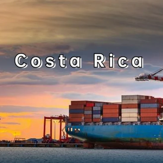 Seetransport von Shanghai, China nach Costa Rica, DDP